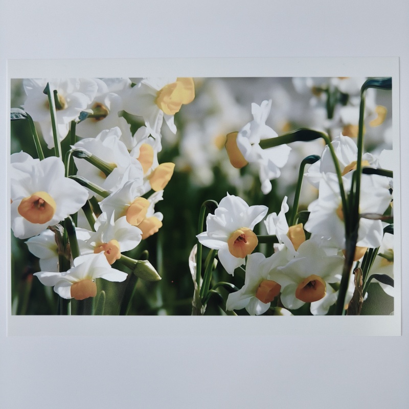 新品研發(fā)中 (2).jpg